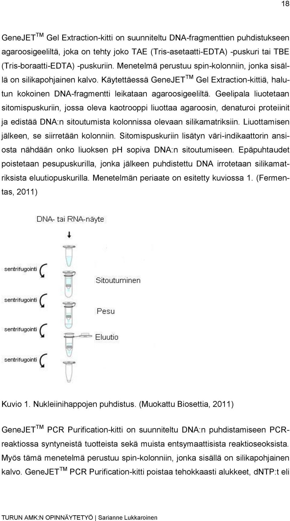 Geelipala liuotetaan sitomispuskuriin, jossa oleva kaotrooppi liuottaa agaroosin, denaturoi proteiinit ja edistää DNA:n sitoutumista kolonnissa olevaan silikamatriksiin.