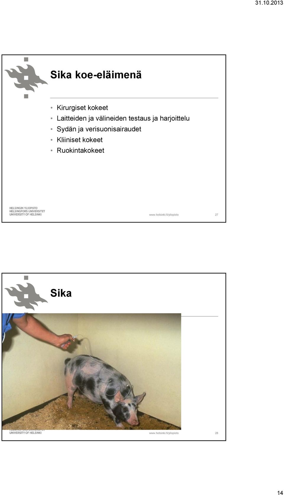harjoittelu Sydän ja verisuonisairaudet