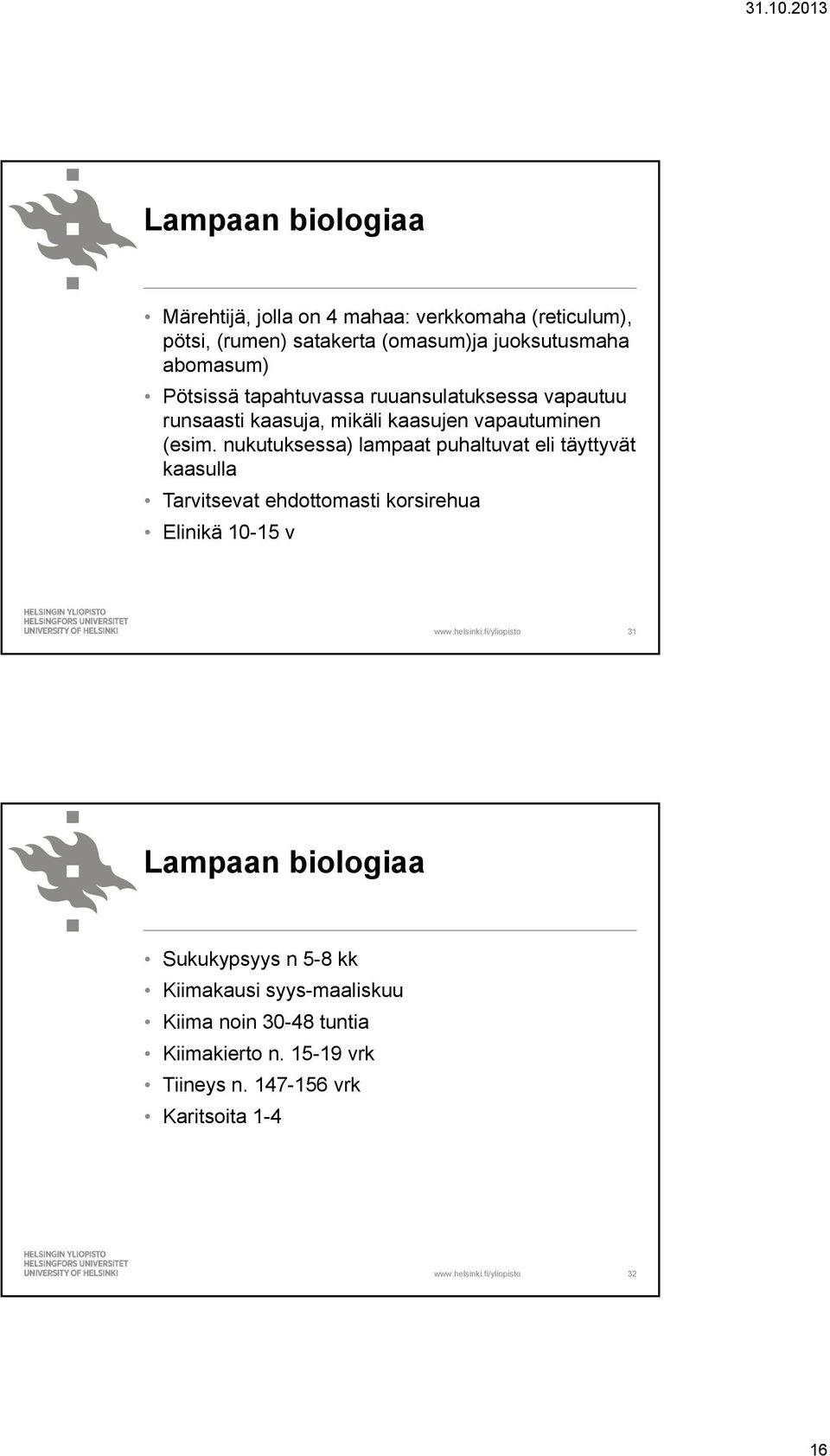 nukutuksessa) lampaat puhaltuvat eli täyttyvät kaasulla Tarvitsevat ehdottomasti korsirehua Elinikä 10-15 v 31 Lampaan