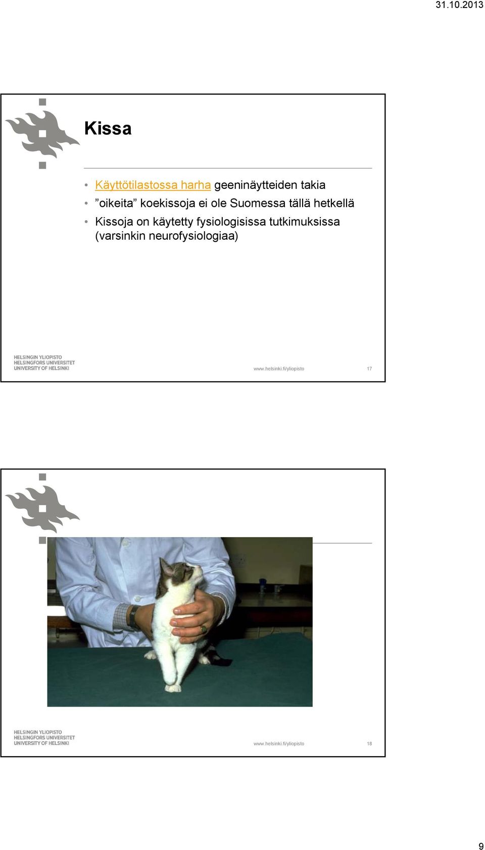 hetkellä Kissoja on käytetty fysiologisissa