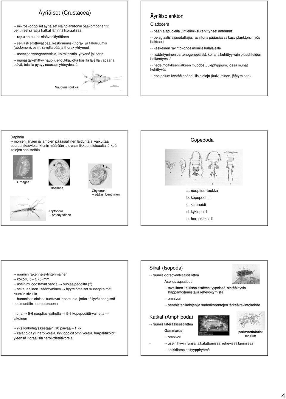 ravulla pää ja thorax yhtyneet -- useat partenogeneettisia, koiraita vain lyhyenä jaksona -- munasta kehittyy nauplius-toukka, joka toisilla lajeilla vapaana elävä, toisilla pysyy naaraan yhteydessä