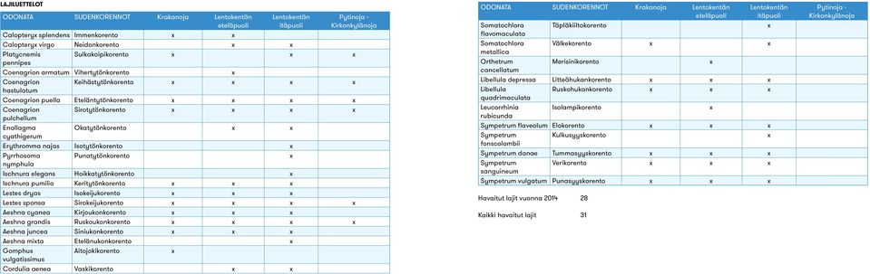 Sirotytönkorento x x x x pulchellum Enallagma Okatytönkorento x x cyathigerum Erythromma najas Isotytönkorento x Pyrrhosoma Punatytönkorento x nymphula Ischnura elegans Hoikkatytönkorento x Ischnura