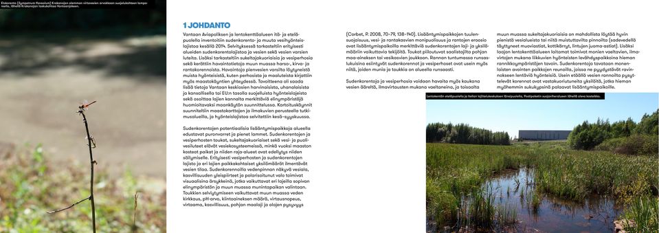 Selvityksessä tarkasteltiin erityisesti alueiden sudenkorentolajistoa ja vesien sekä vesien varsien luteita.