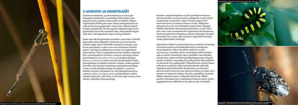 myöhempää määritystä varten. Muita vesihyönteisiä kuin sudenkorentoja pyydystettiin useimmiten erillisten käyntikertojen yhteydessä.