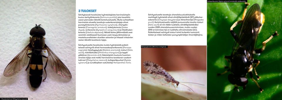 Muita suhteellisen harvinaisia alueella tavattuja sudenkorentolajeja olivat punatytönkorento (Pyrrhosoma nymphula), vihertytönkorento (Coenagrion armatum), isokeijukorento (Lestes dryas), verikorento