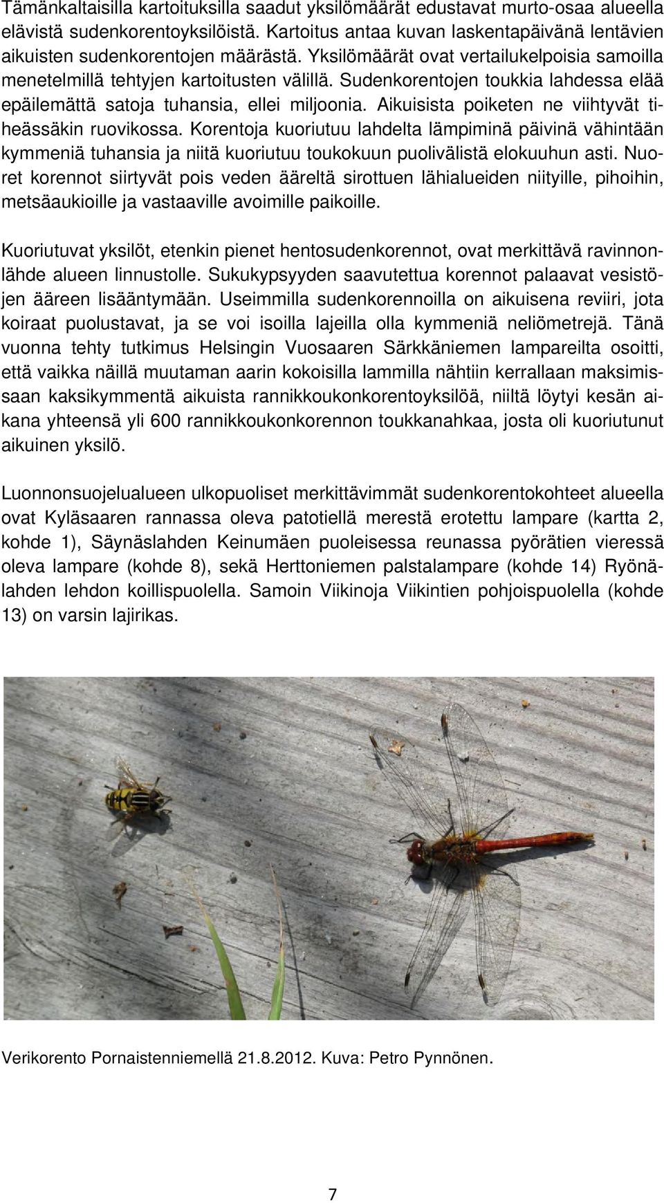 Aikuisista poiketen ne viihtyvät tiheässäkin ruovikossa. Korentoja kuoriutuu lahdelta lämpiminä päivinä vähintään kymmeniä tuhansia ja niitä kuoriutuu toukokuun puolivälistä elokuuhun asti.