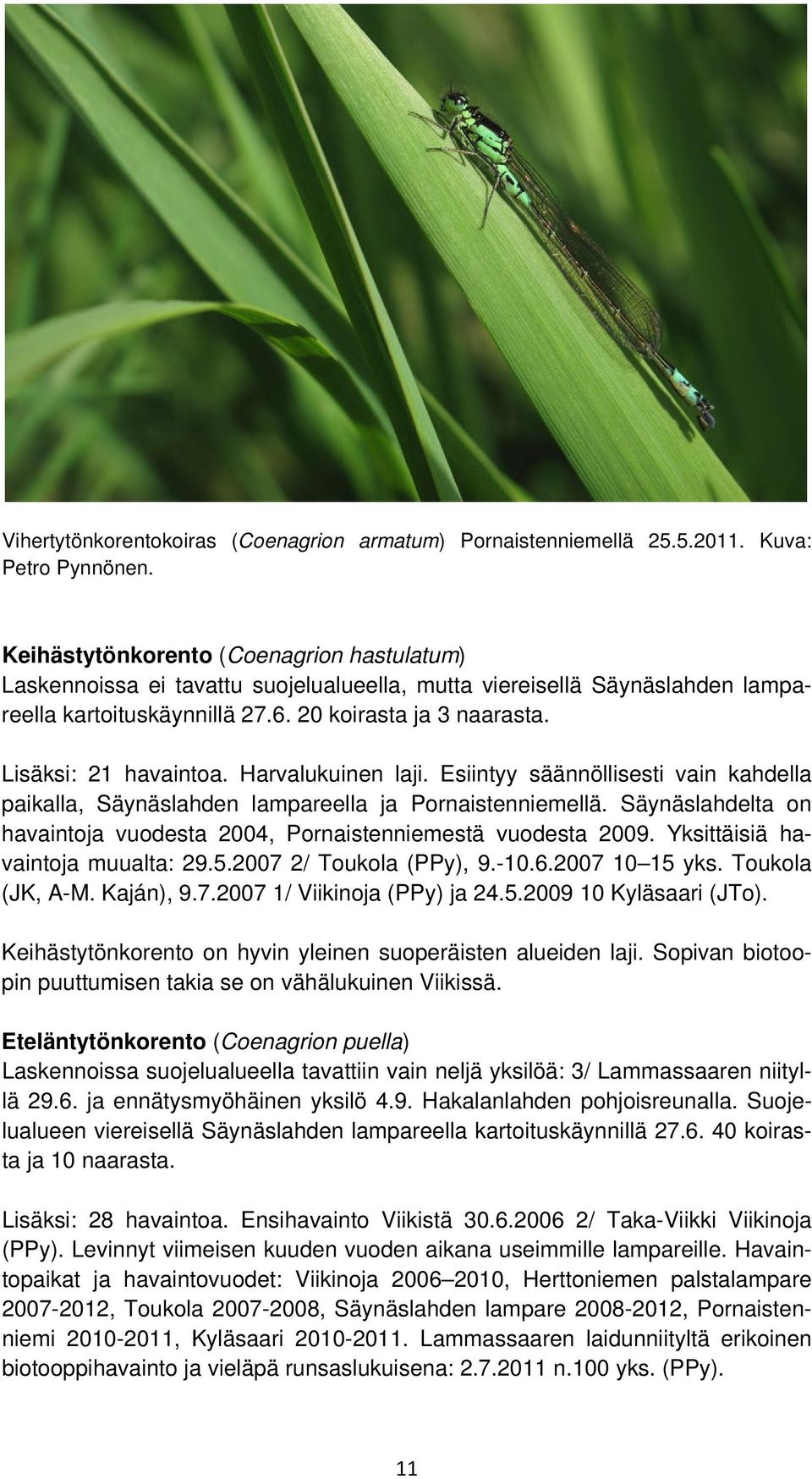 Lisäksi: 21 havaintoa. Harvalukuinen laji. Esiintyy säännöllisesti vain kahdella paikalla, Säynäslahden lampareella ja Pornaistenniemellä.