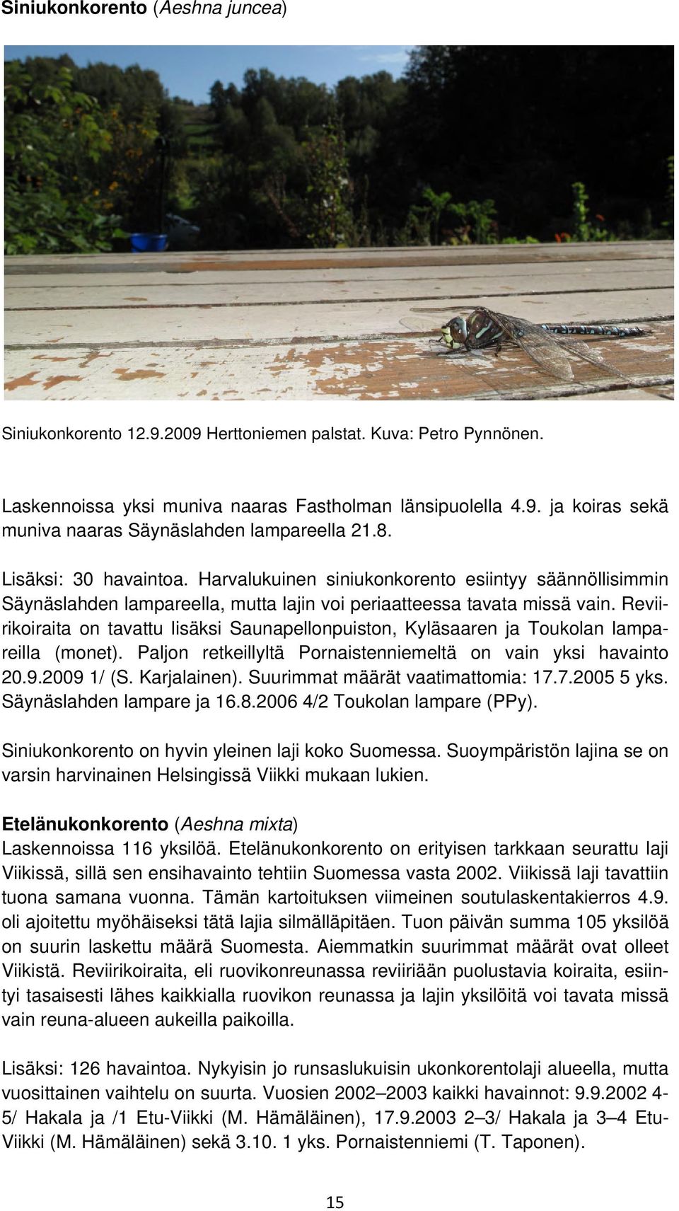 Reviirikoiraita on tavattu lisäksi Saunapellonpuiston, Kyläsaaren ja Toukolan lampareilla (monet). Paljon retkeillyltä Pornaistenniemeltä on vain yksi havainto 20.9.2009 1/ (S. Karjalainen).