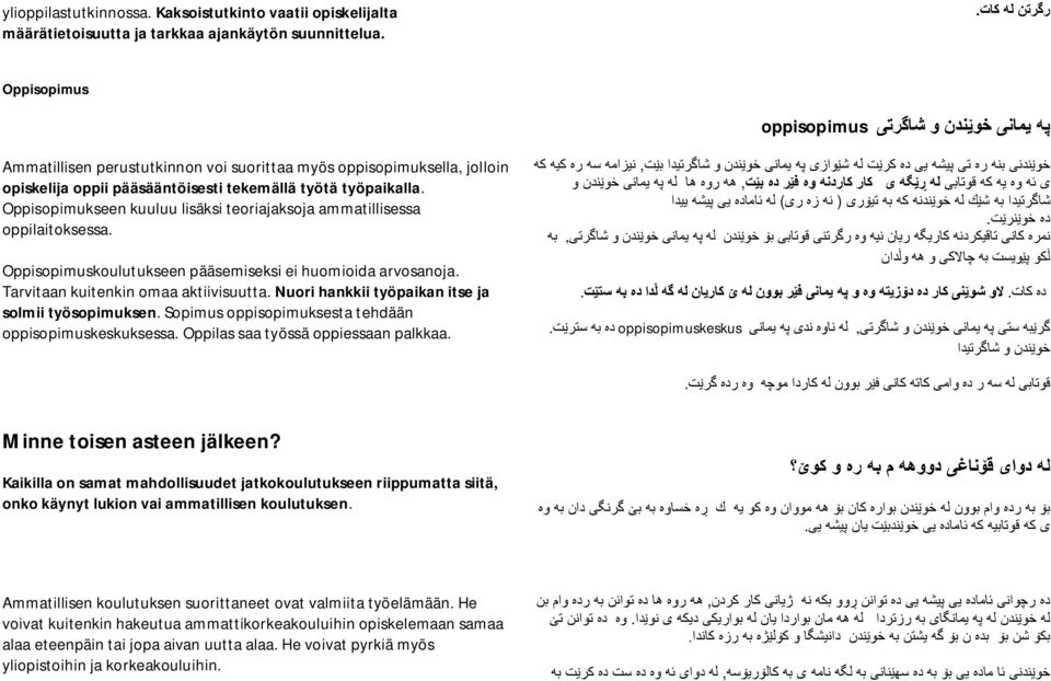 Oppisopimukseen kuuluu lisäksi teoriajaksoja ammatillisessa oppilaitoksessa. Oppisopimuskoulutukseen pääsemiseksi ei huomioida arvosanoja. Tarvitaan kuitenkin omaa aktiivisuutta.