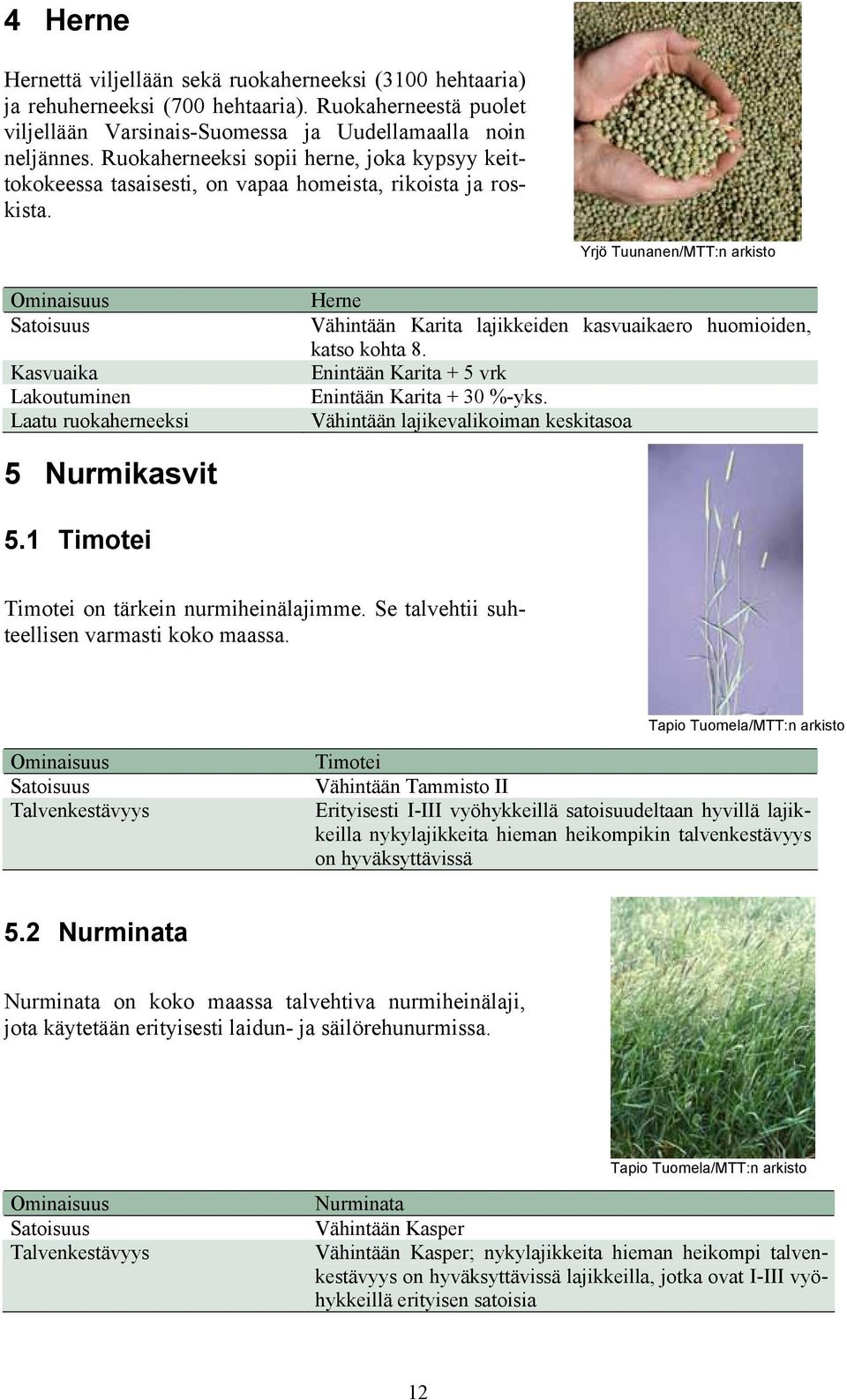 Yrjö Tuunanen/MTT:n arkisto Kasvuaika Lakoutuminen Laatu ruokaherneeksi Herne Vähintään Karita lajikkeiden kasvuaikaero huomioiden, katso kohta 8. Enintään Karita + 5 vrk Enintään Karita + 30 %-yks.