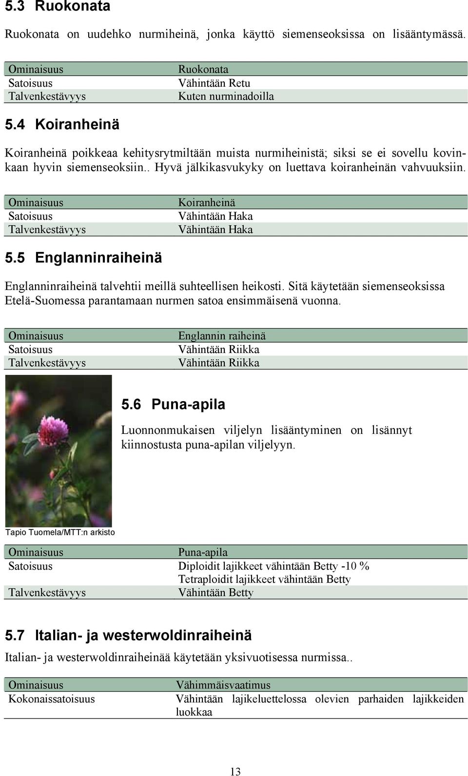 Talvenkestävyys Koiranheinä Vähintään Haka Vähintään Haka 5.5 Englanninraiheinä Englanninraiheinä talvehtii meillä suhteellisen heikosti.