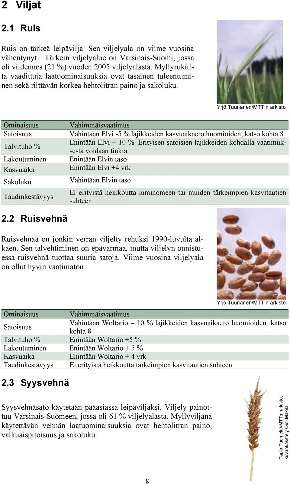 Yrjö Tuunanen/MTT:n arkisto Vähimmäisvaatimus Vähintään Elvi -5 % lajikkeiden kasvuaikaero huomioiden, katso kohta 8 Talvituho % Enintään Elvi + 10 %.