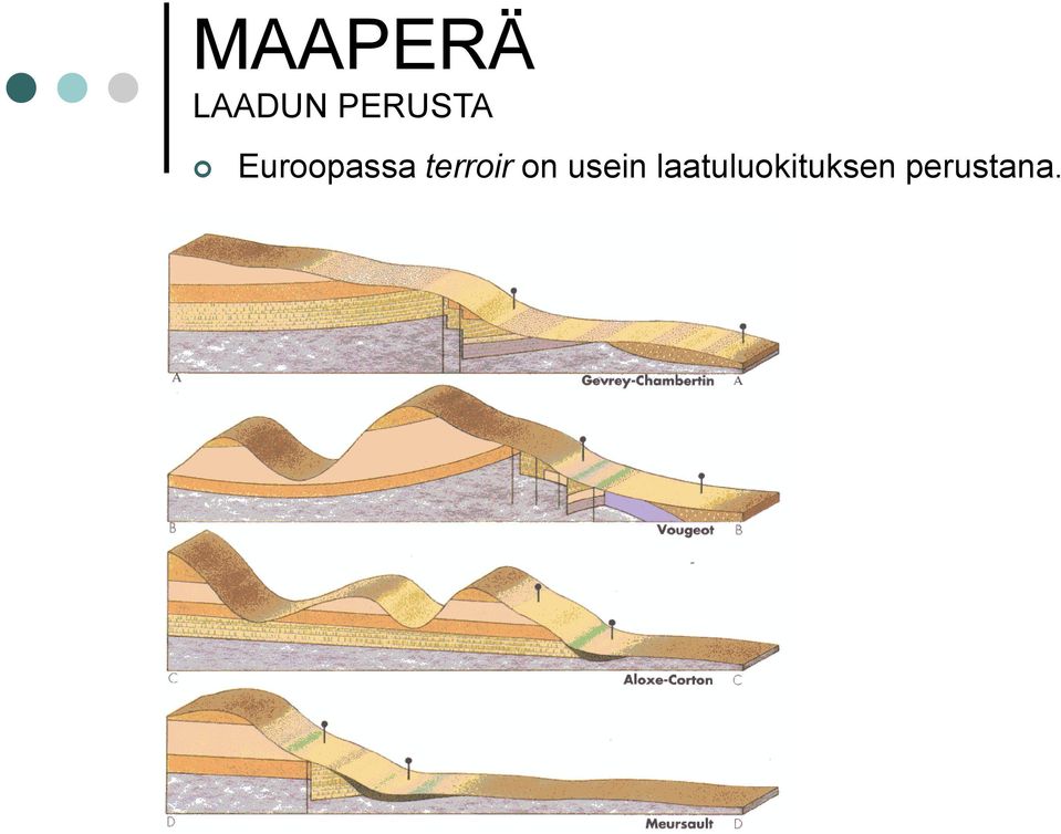 terroir on usein