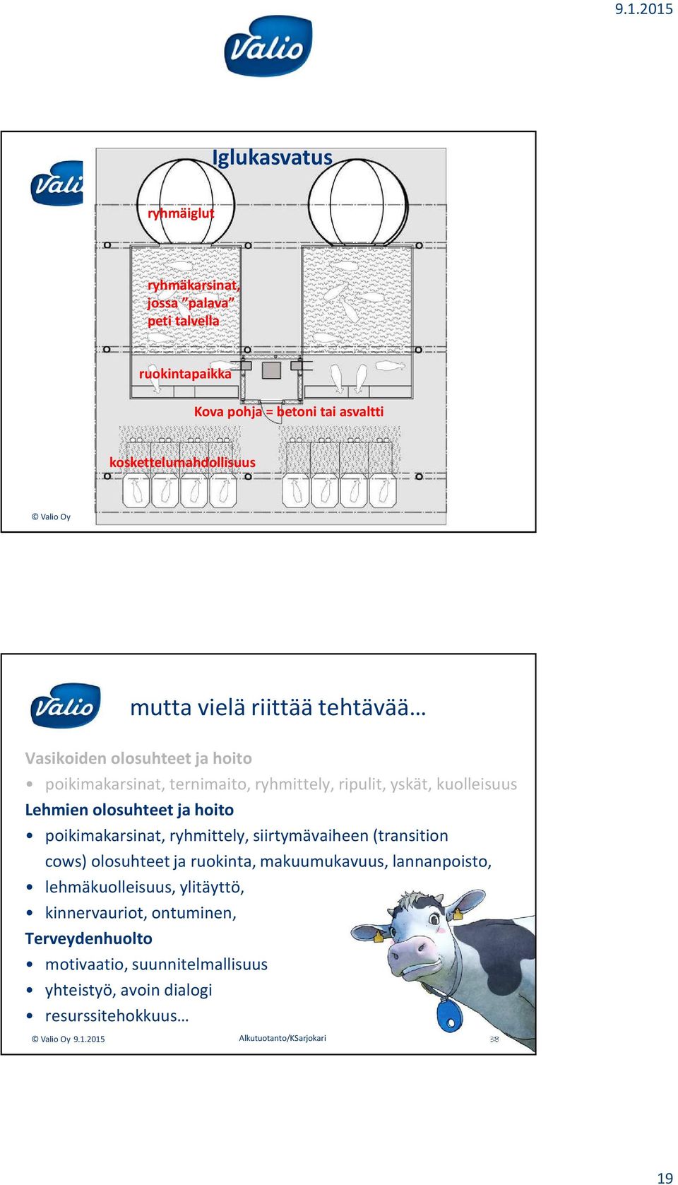 poikimakarsinat, ryhmittely, siirtymävaiheen (transition cows) olosuhteet ja ruokinta, makuumukavuus, lannanpoisto, lehmäkuolleisuus, ylitäyttö,