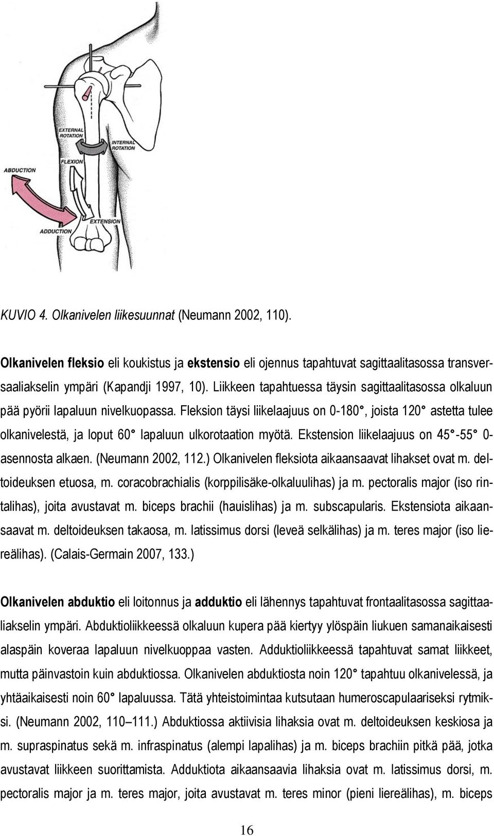 Fleksion täysi liikelaajuus on 0-180, joista 120 astetta tulee olkanivelestä, ja loput 60 lapaluun ulkorotaation myötä. Ekstension liikelaajuus on 45-55 0- asennosta alkaen. (Neumann 2002, 112.