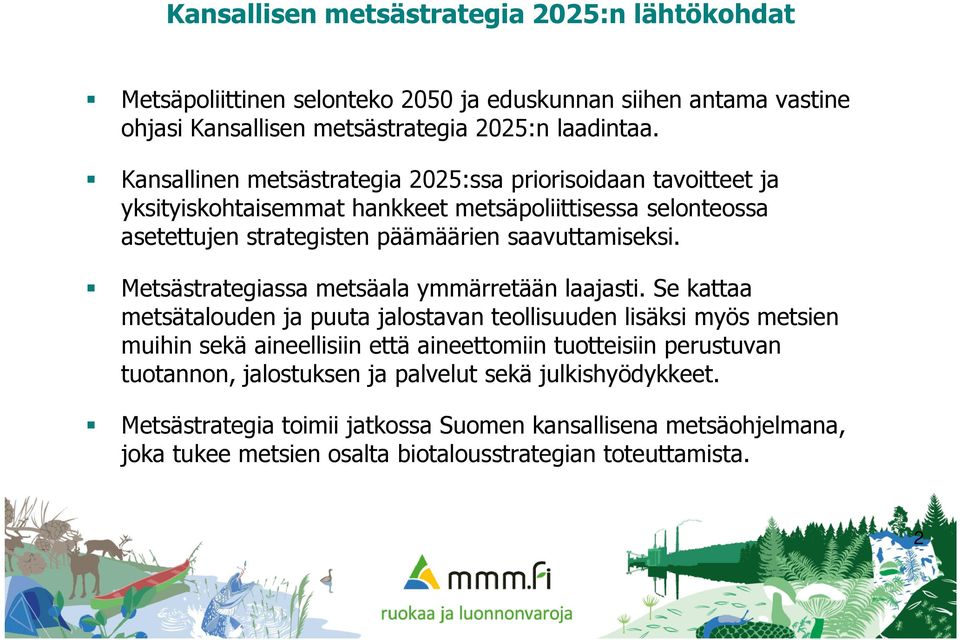 Metsästrategiassa metsäala ymmärretään laajasti.