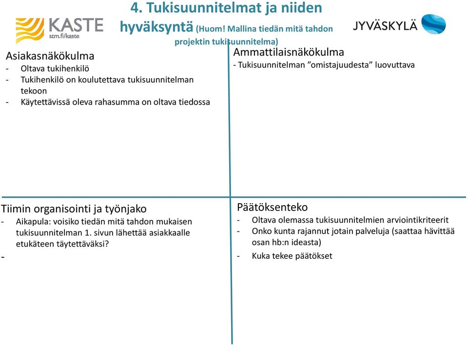 Mallina tiedän mitä tahdon projektin tukisuunnitelma) Ammattilaisnäkökulma - Tukisuunnitelman omistajuudesta luovuttava Tiimin organisointi ja työnjako -