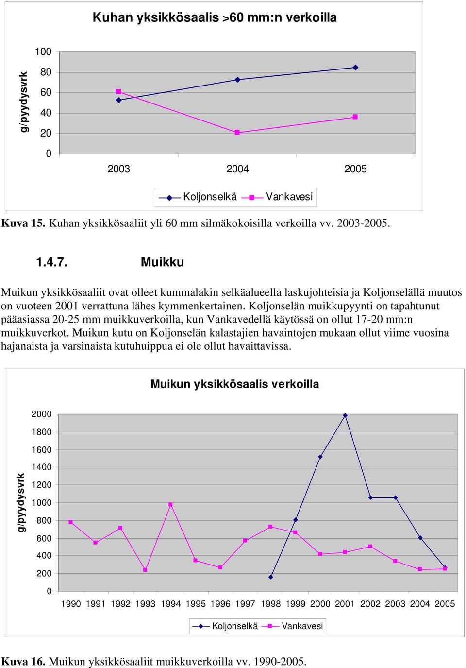 Koljonselän muikkupyynti on tapahtunut pääasiassa 2-25 mm muikkuverkoilla, kun Vankavedellä käytössä on ollut 17-2 mm:n muikkuverkot.