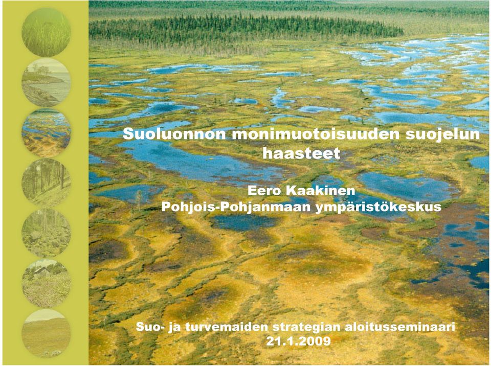 Tuominen