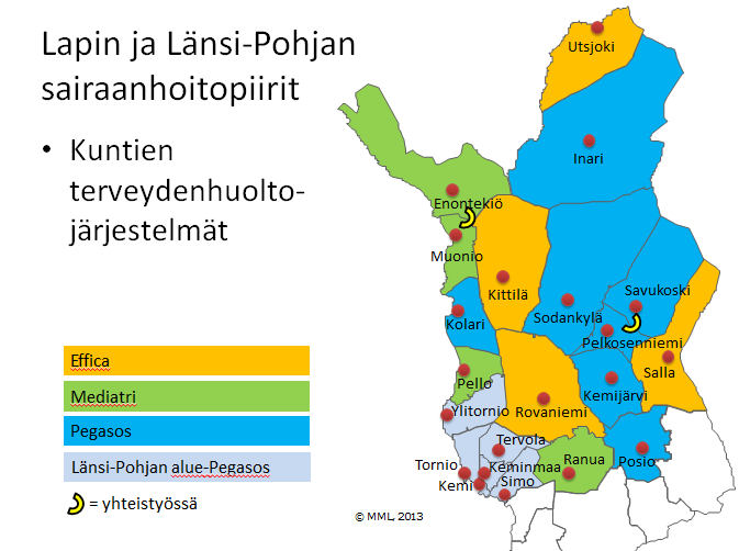 LSHP+LPSHP Terveydenhoito Effica Mediatri Pegasos Softmedic (Roi työterveys) Erikoissairaanhoito