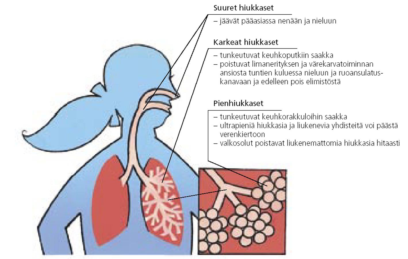 HIUKKASPÄÄSTÖT Hiukkasten jaottelu: (PM) Suuret hiukkaset >10 μm (likaantuminen viihtyvyyshaitta) Hengitettävät hiukkaset <10 μm Karkeat hiukkaset 2,5-10 μm