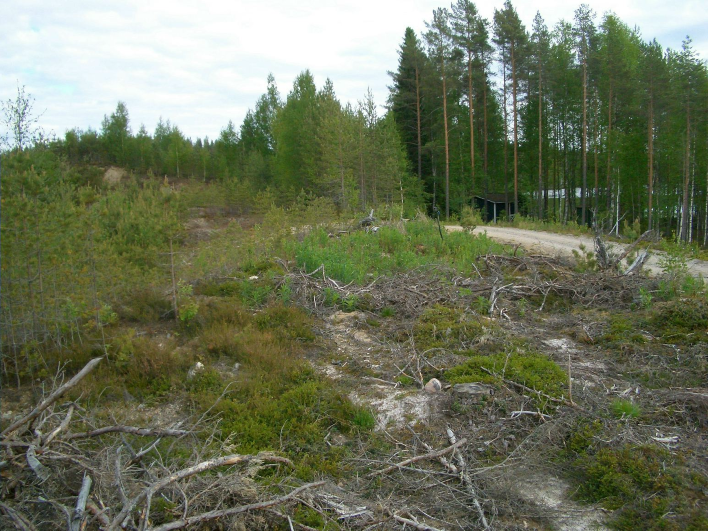 11 Yllä: Asuinpaikkaa tien oik. puolella, kuvattu luoteeseen. Alla kuvattu kaakkoon. 14 LAPINLAHTI NERKOO KANGASALMPI W Rauh.