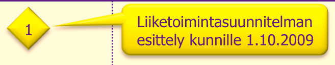 KPK THH Oy:n perustamisen toteutussuunnitelma 2009 2010 