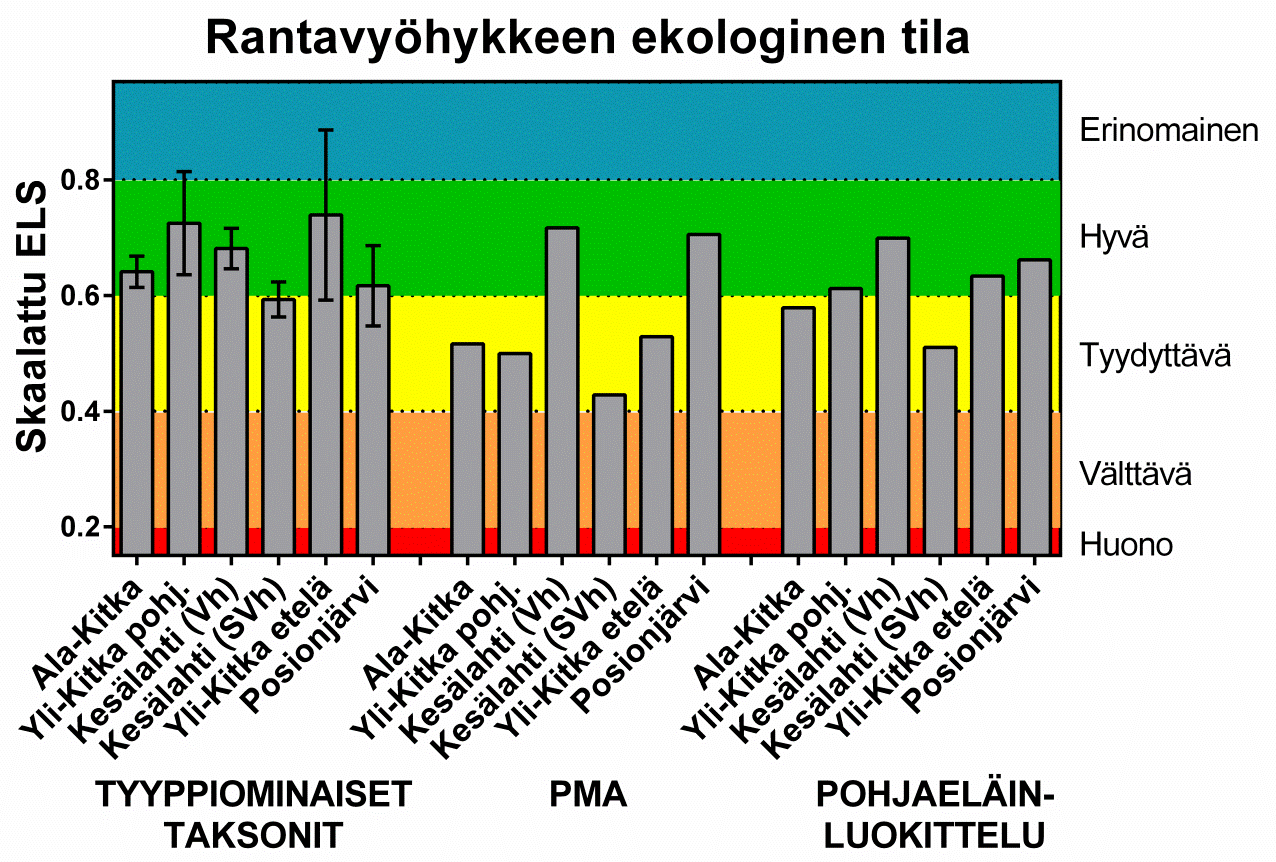 Pohjaeläimistö rantavyöhyke Suuri määrä vaihtelusta