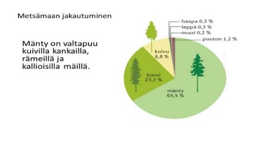 Miten ja miksi metsät ovat erilaisia? 1. Mitä kasvit tarvitsevat elääkseen ja mistä ne saavat sitä? - tehkää luettelo ja/tai piirros otsikolla Kasvit tarvitsevat:. 2.