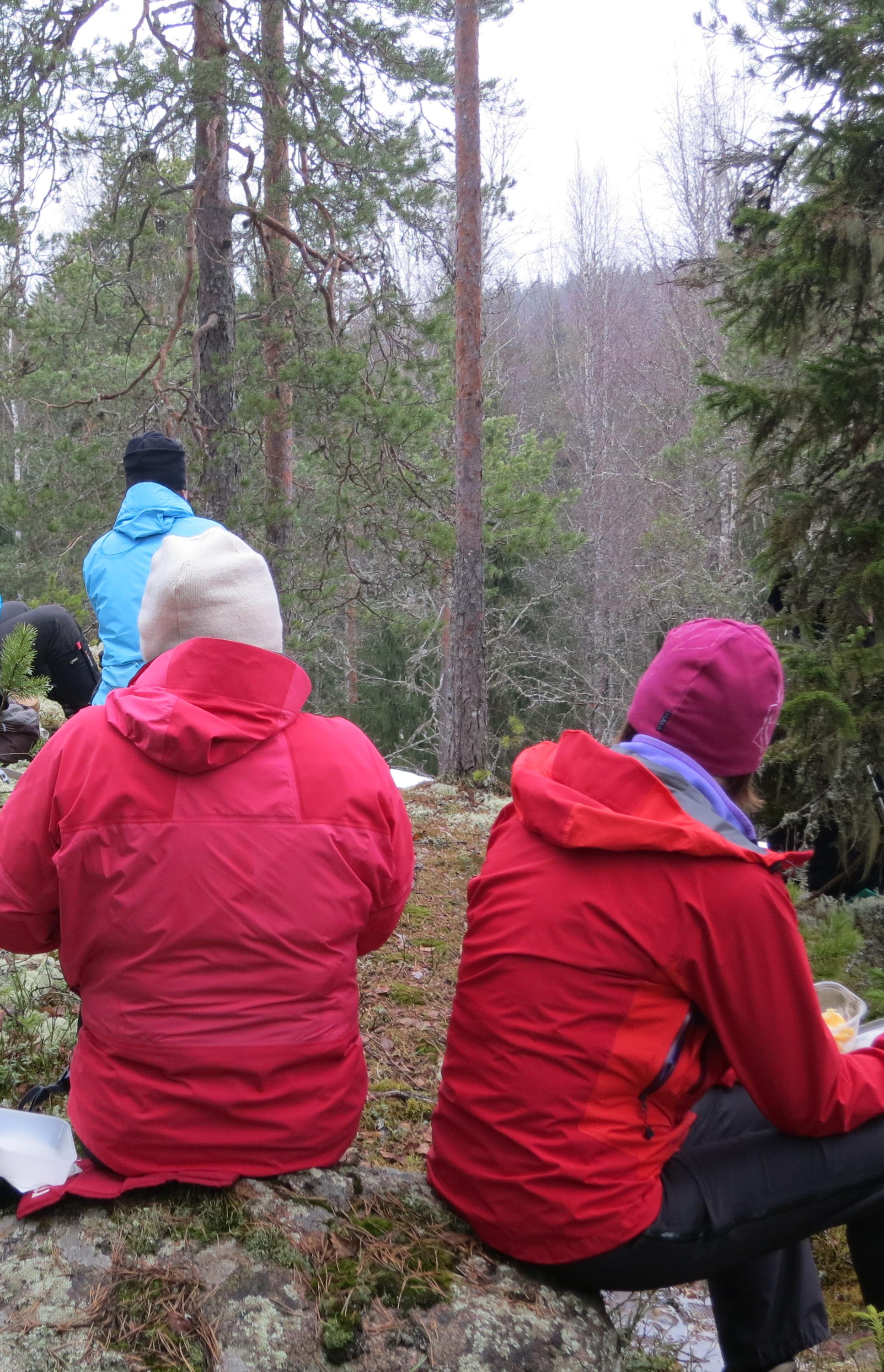 Toukokuu 2016 Pyöräilyt alkavat Toukokuun alusta.