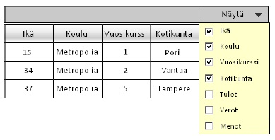 Tooltip Usein taulukoissa on tarjolla enemmän dataa kuin käyttäjän on mielekästä tarkastella. Tällöin tulee käyttää sarakkeiden valintaa.