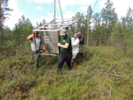 K 1. Vesilinnut: etsästysajat, -alueet sekä rajoitukset metsästyskaudella 2016-2017 etsästys metsästysasetuksen mukaisesti. hanhea/päivä/metsästäjä. Ei muita kiintiöitä. Enintään 5 2.