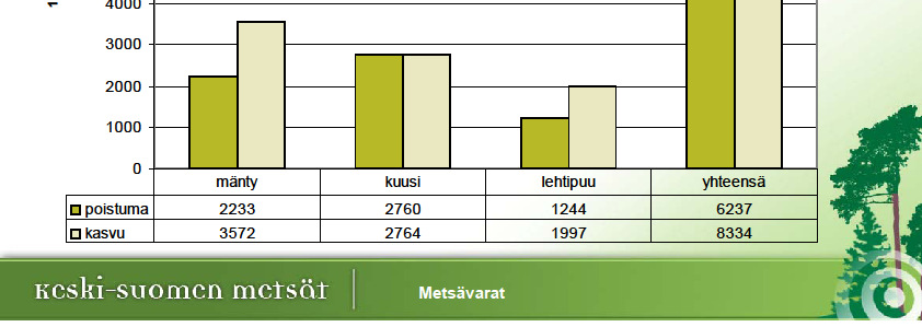 Vuotuinen