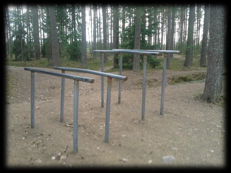 Liikuntapaikkojen ylläpito Tekninen ja ympäristökeskus, liikuntapaikkatuotanto Katupäällikkö: Jarkko Riipinen 044 4675 393 Liikuntapaikat ja varaukset Liikuntapaikkamestari: Tero Nevala 044 0421 356