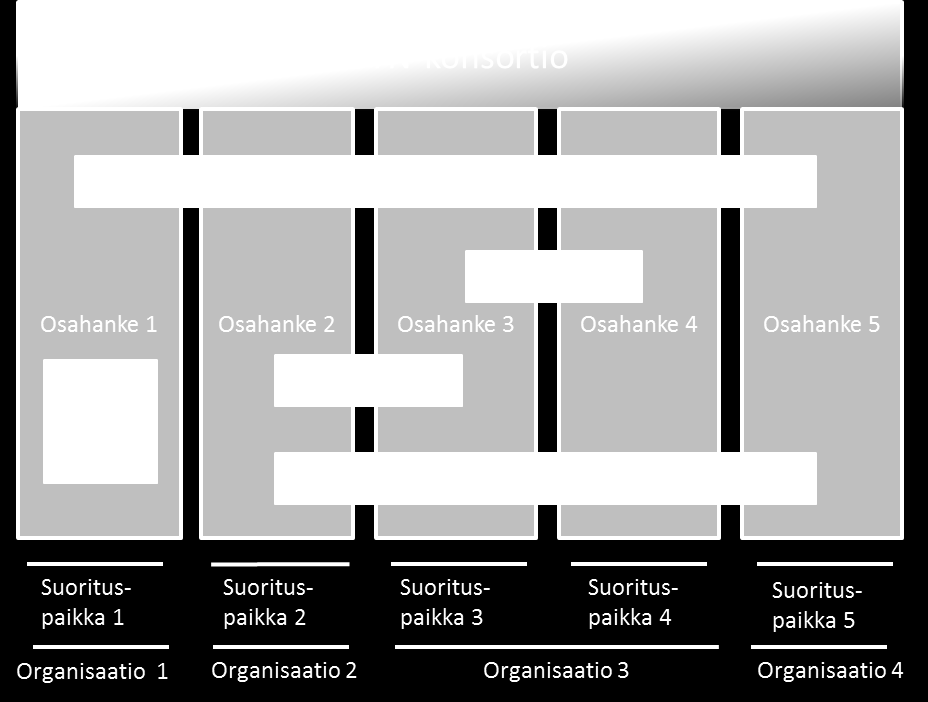 Kaikissa osahankkeissa ei välttämättä ole työpaketin johtovelvollisuutta.