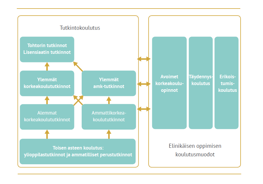 Erikoistumiskoulutusten