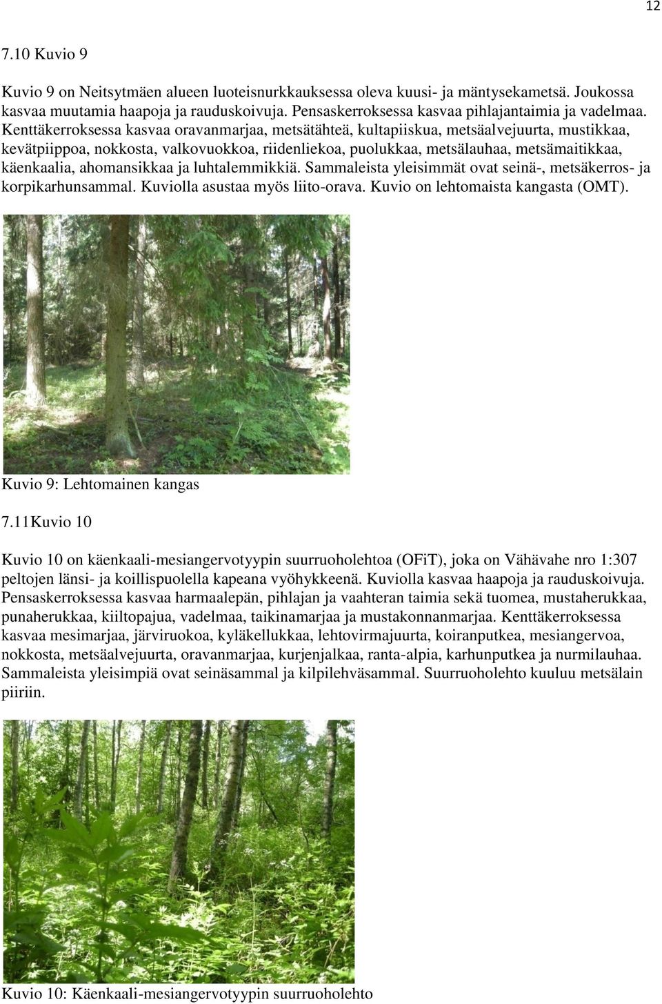 Kenttäkerroksessa kasvaa oravanmarjaa, metsätähteä, kultapiiskua, metsäalvejuurta, mustikkaa, kevätpiippoa, nokkosta, valkovuokkoa, riidenliekoa, puolukkaa, metsälauhaa, metsämaitikkaa, käenkaalia,