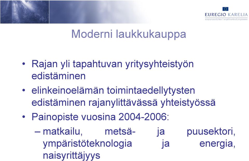 rajanylittävässä yhteistyössä Painopiste vuosina 2004-2006: