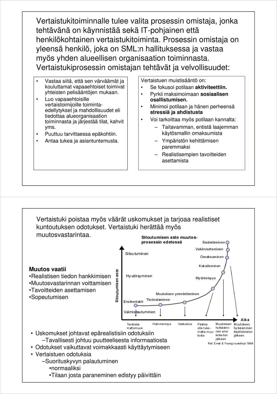 Vertaistukiprosessin omistajan tehtävät ja velvollisuudet: Vastaa siitä, että sen värväämät ja kouluttamat vapaaehtoiset toimivat yhteisten pelisääntöjen mukaan.