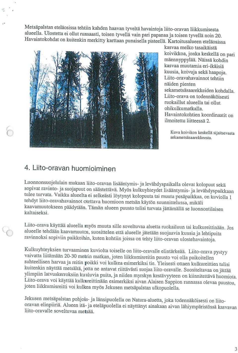 Kartoitusalueen eteläosissa 3 Jekusen metsäpaistan pohjois- ja länsipuolella on Natura-aluetta, joka todennäköisesti on liito oravan elinpiiriä.