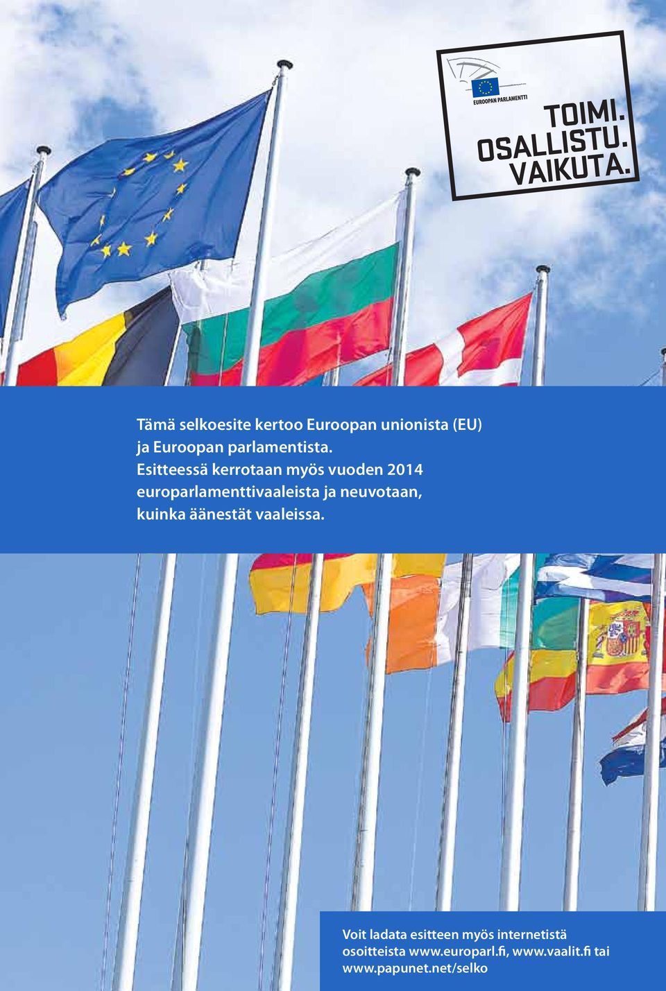 Esitteessä kerrotaan myös vuoden 2014 europarlamenttivaaleista ja