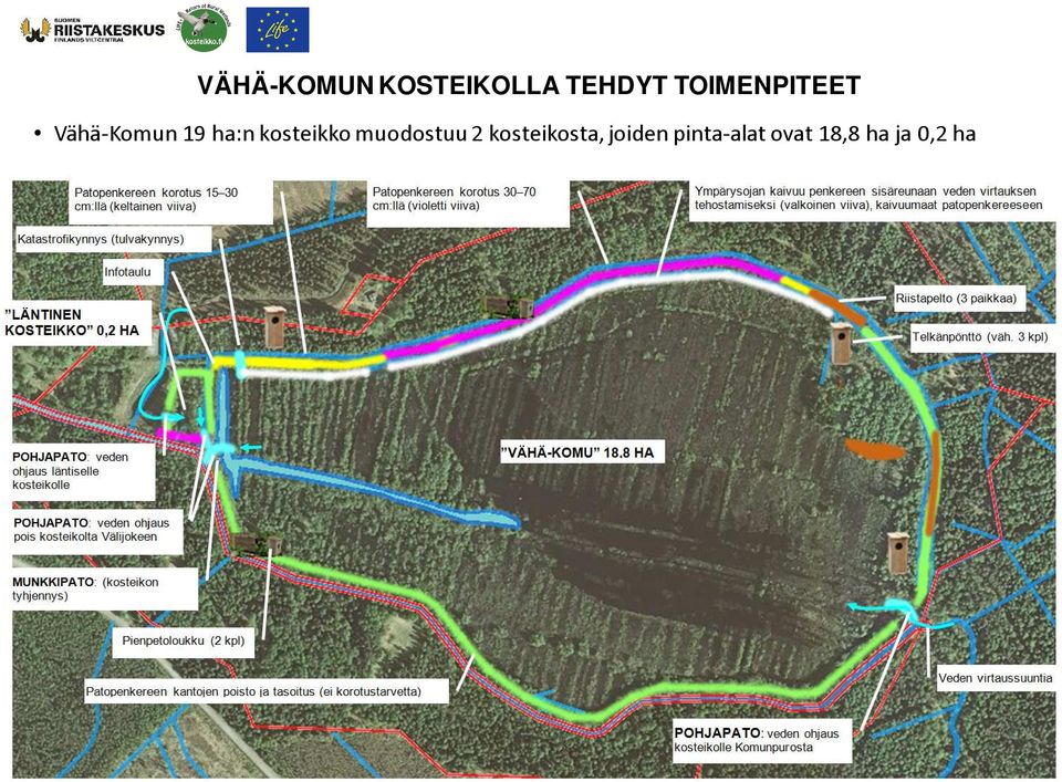 kosteikko muodostuu 2 kosteikosta,