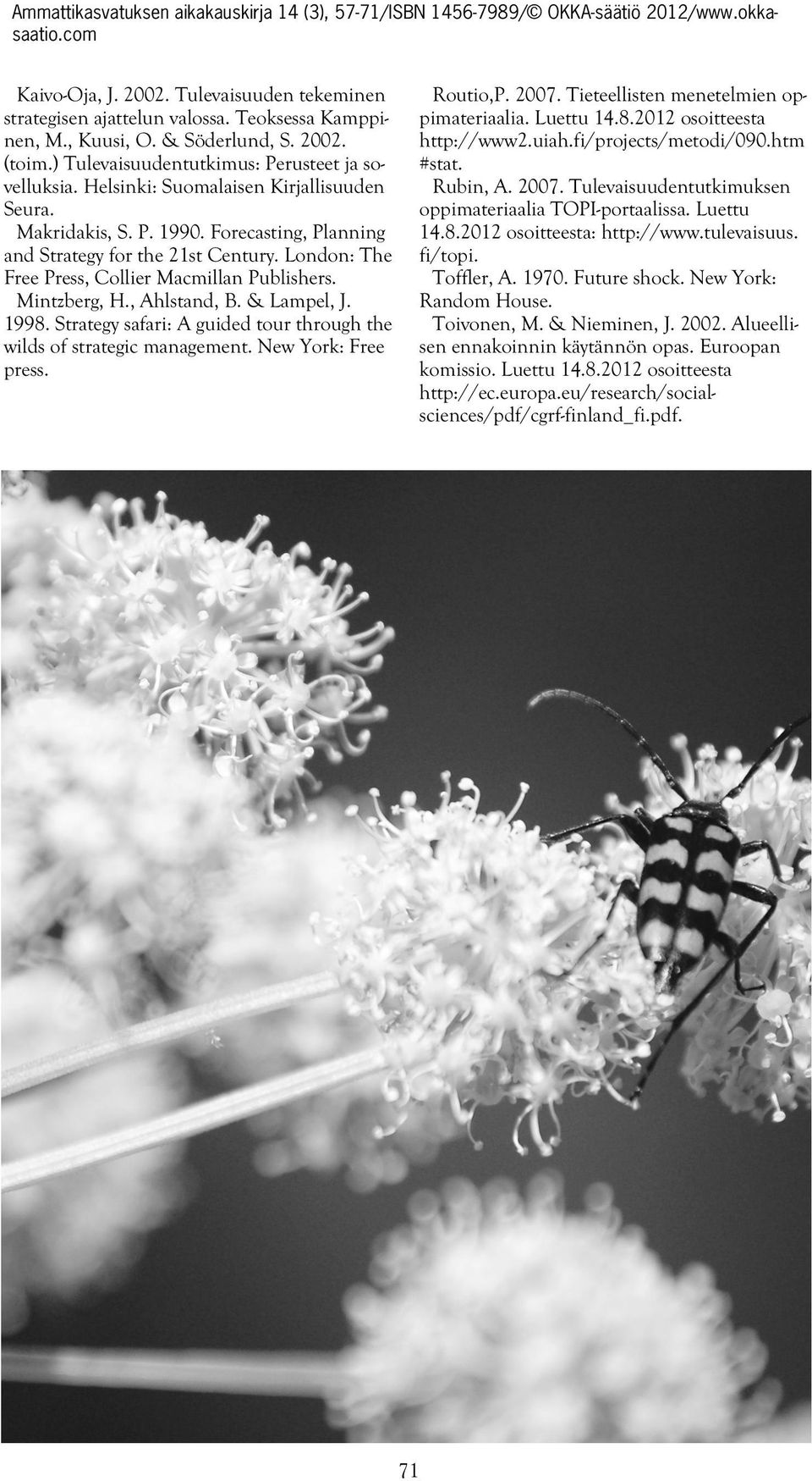 , Ahlstand, B. & Lampel, J. 1998. Strategy safari: A guided tour through the wilds of strategic management. New York: Free press. Routio,P. 2007. Tieteellisten menetelmien oppimateriaalia. Luettu 14.