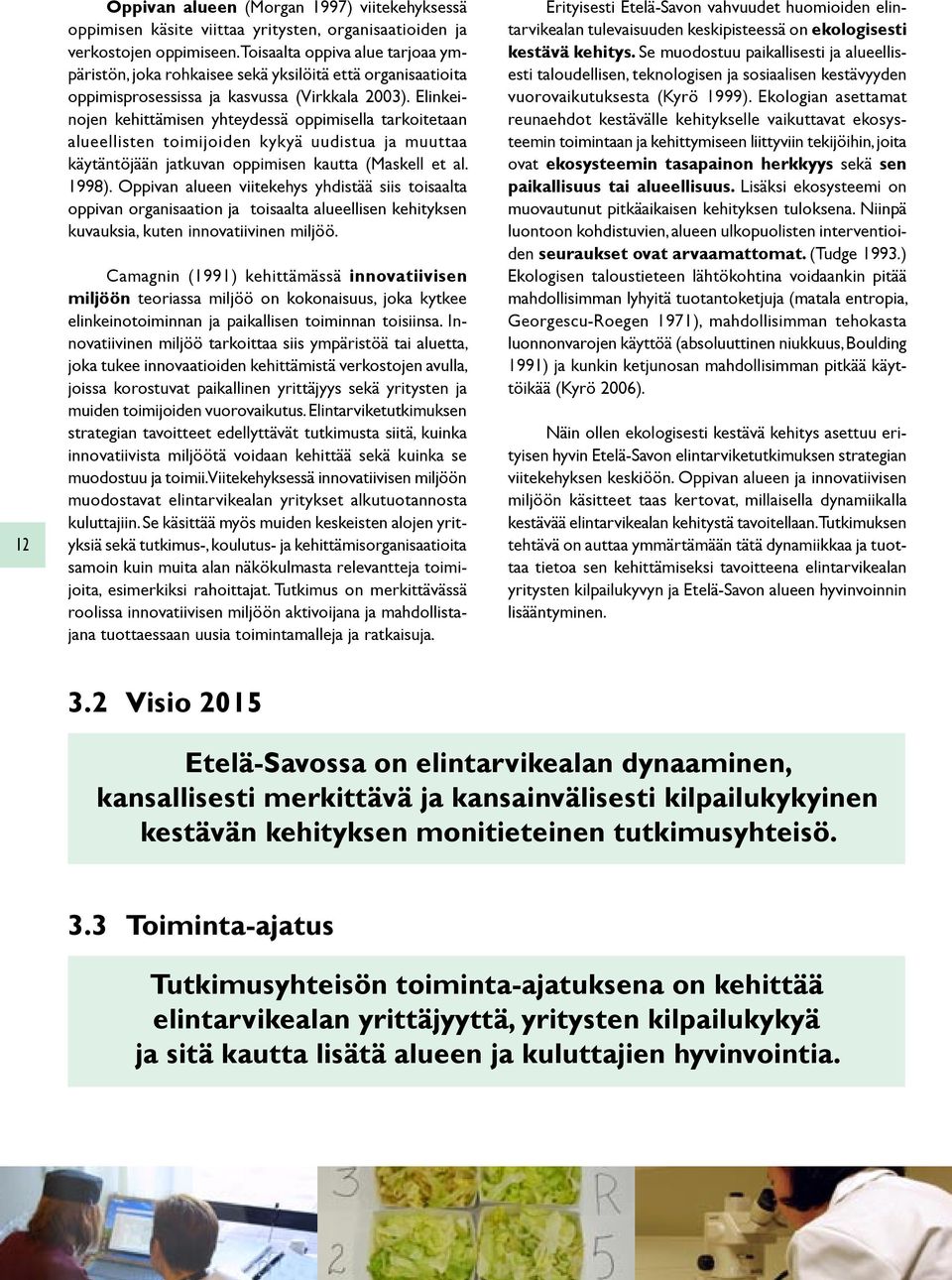 Elinkeinojen kehittämisen yhteydessä oppimisella tarkoitetaan alueellisten toimijoiden kykyä uudistua ja muuttaa käytäntöjään jatkuvan oppimisen kautta (Maskell et al. 1998).