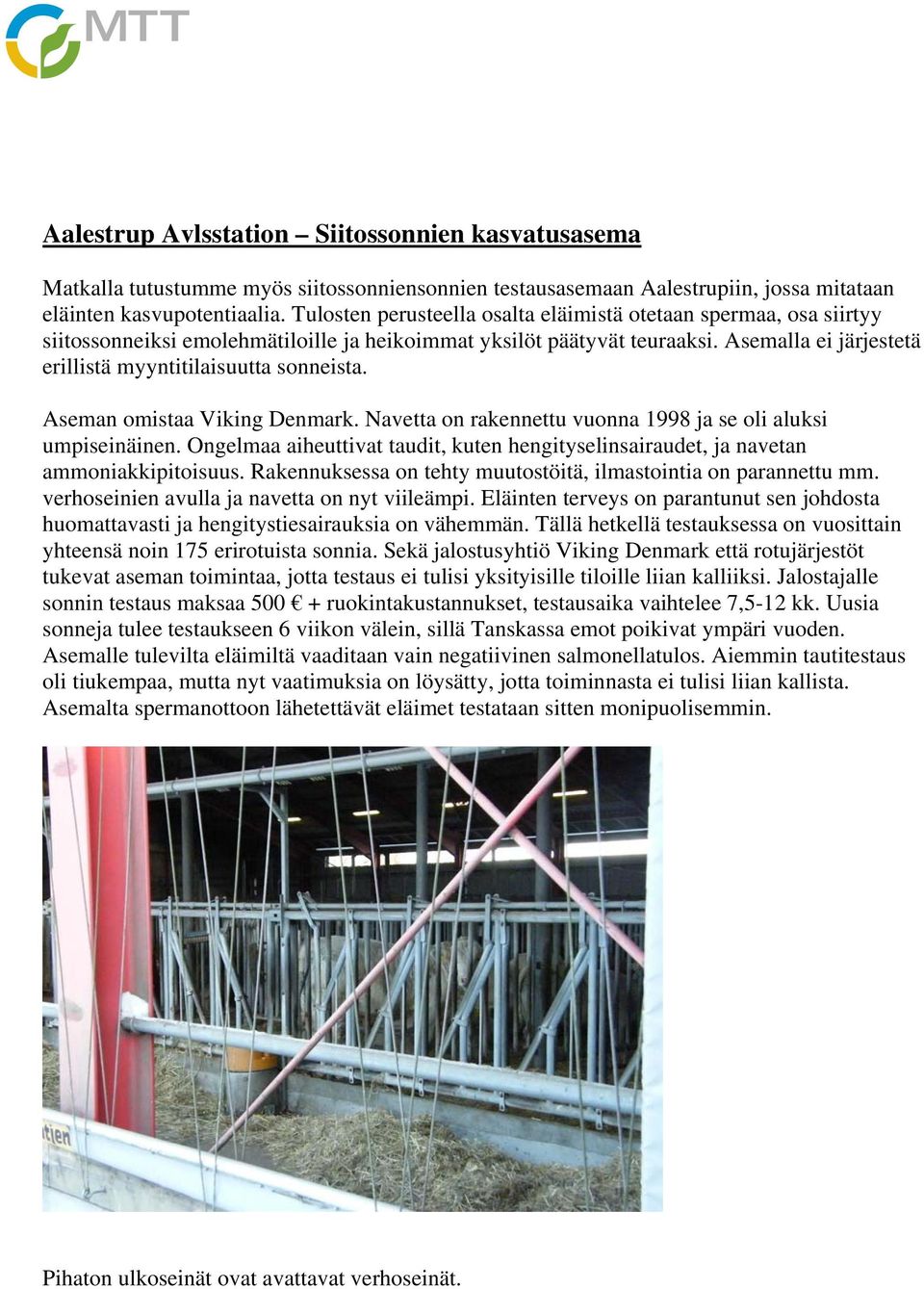 Asemalla ei järjestetä erillistä myyntitilaisuutta sonneista. Aseman omistaa Viking Denmark. Navetta on rakennettu vuonna 1998 ja se oli aluksi umpiseinäinen.