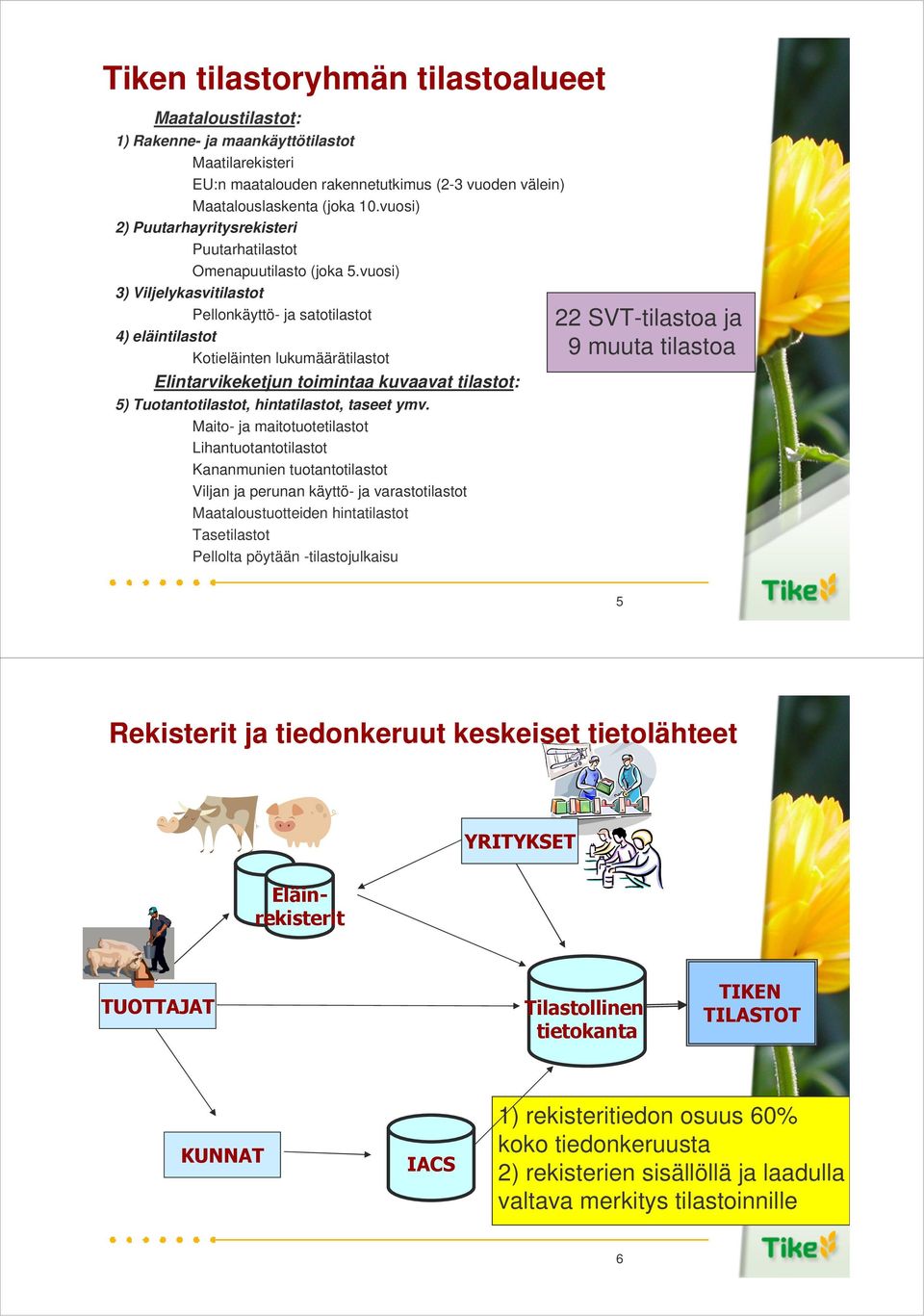 vuosi) 3) Viljelykasvitilastot Pellonkäyttö- ja satotilastot 4) eläintilastot Kotieläinten lukumäärätilastot Elintarvikeketjun toimintaa kuvaavat tilastot: 5) Tuotantotilastot, hintatilastot, taseet