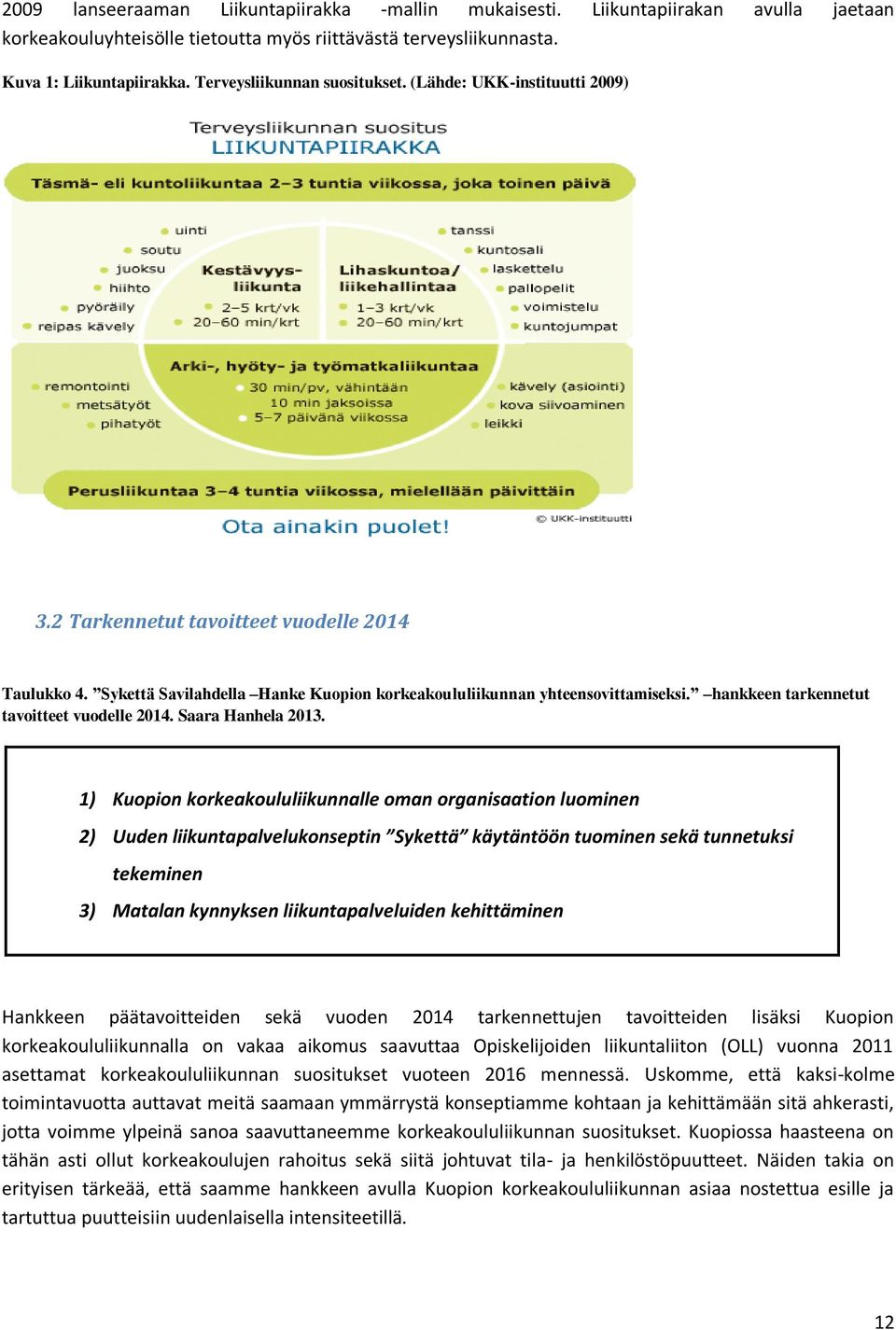 hankkeen tarkennetut tavoitteet vuodelle 2014. Saara Hanhela 2013.