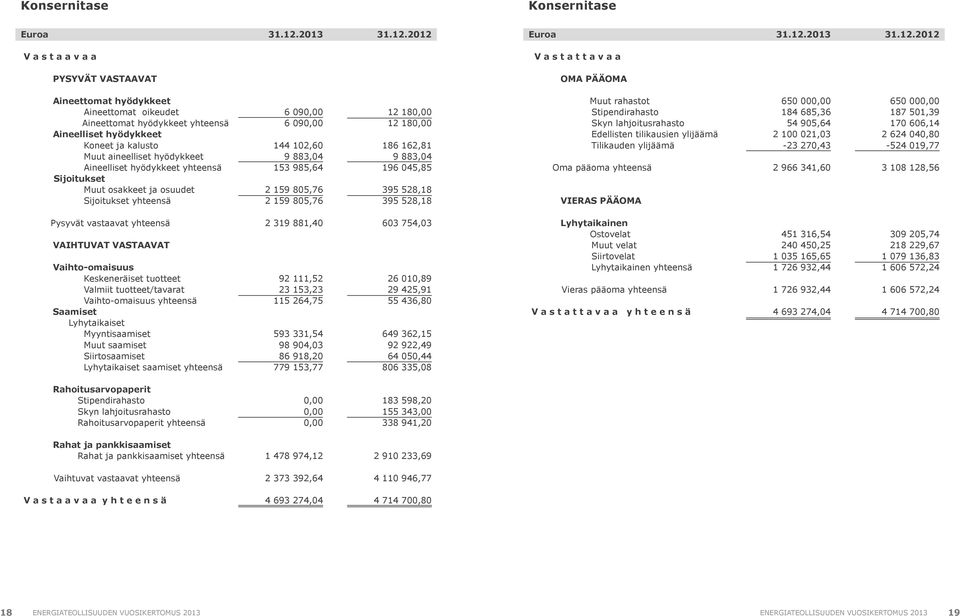 2012 Euroa 31.12.2012 V a s t a a v a a V a s t a t t a v a a PYSYVÄT VASTAAVAT OMA PÄÄOMA Aineettomat hyödykkeet Aineettomat oikeudet Aineettomat hyödykkeet yhteensä Aineelliset hyödykkeet Koneet ja