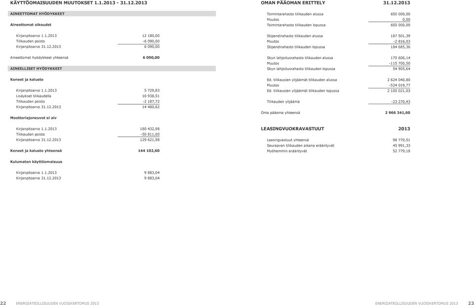 2013 AINEETTOMAT HYÖDYKKEET Aineettomat oikeudet Toimintarahasto tilikauden alussa Muutos Toimintarahasto tilikauden lopussa 650 000,00 0,00 650 000,00 Kirjanpitoarvo 1.1.2013 Tilikauden poisto Kirjanpitoarvo 31.