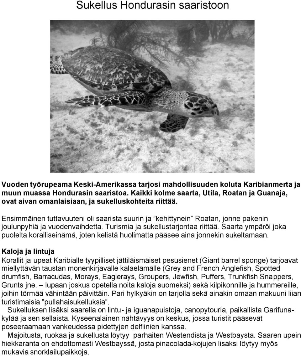 Ensimmäinen tuttavuuteni oli saarista suurin ja kehittynein Roatan, jonne pakenin joulunpyhiä ja vuodenvaihdetta. Turismia ja sukellustarjontaa riittää.